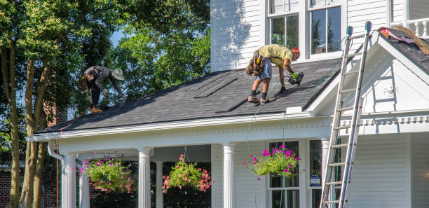 Best Roof Gutter Cleaning  in Perry, OH